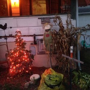 Meet your Posher, Dorothy